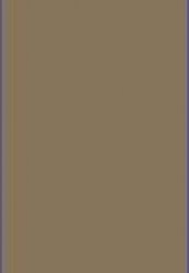 PLAIN DARK BEIGE 